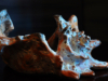 shell-4